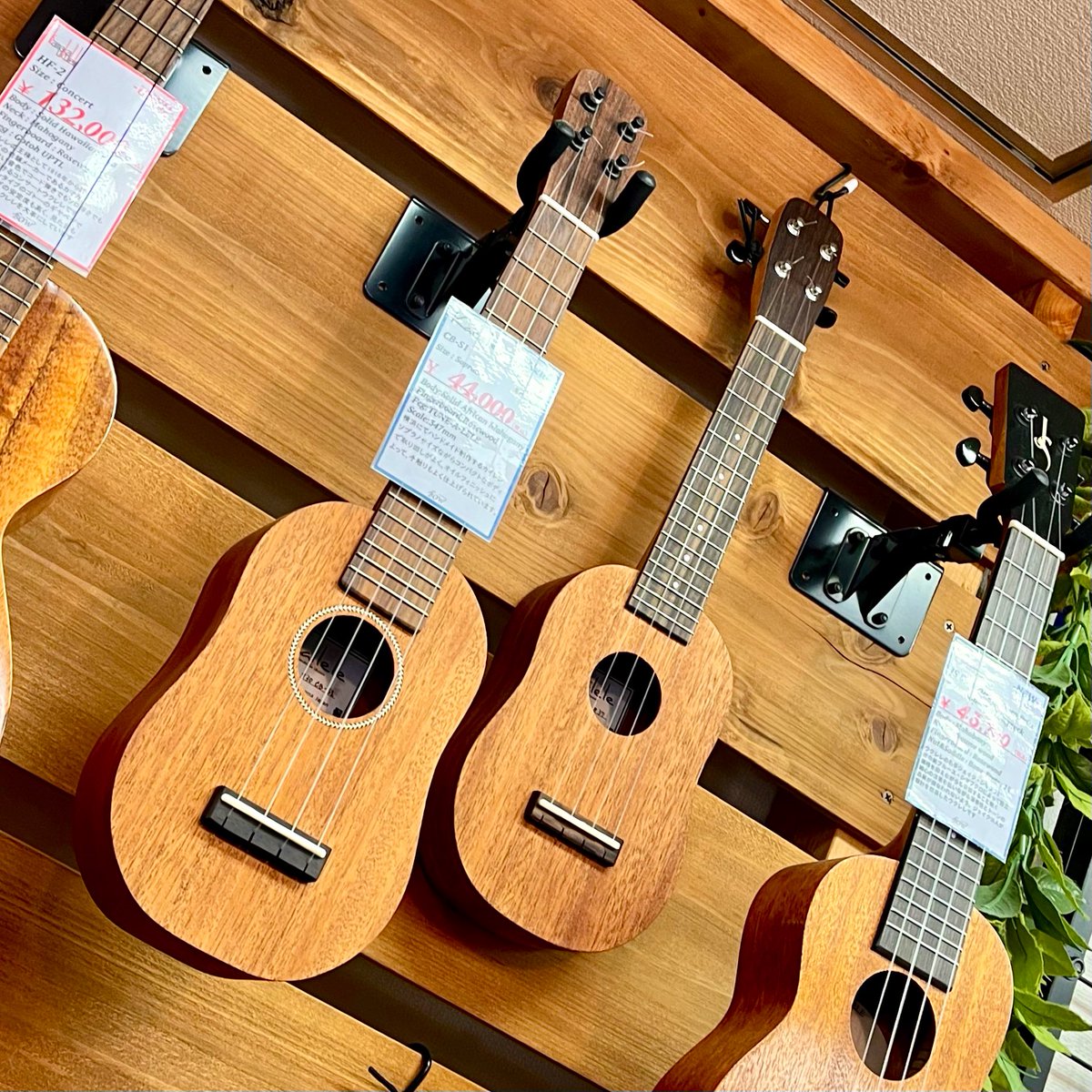 kailele2's tweet photo. 藤沢駅近くの楽器屋BOWさんにウクレレの納品に行ってきました〜♪現在kailele2本在庫ごさいます！ソプラノスタンダード、パイナップルそれぞれお買い上げいただきましてありがとうございました😊🍍 https://t.co/UtlILhYVRk