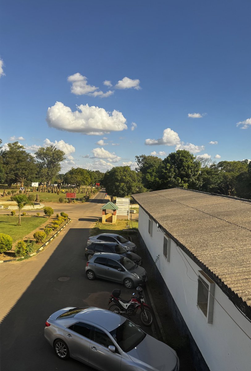 Michelo Simuyandi tweet media