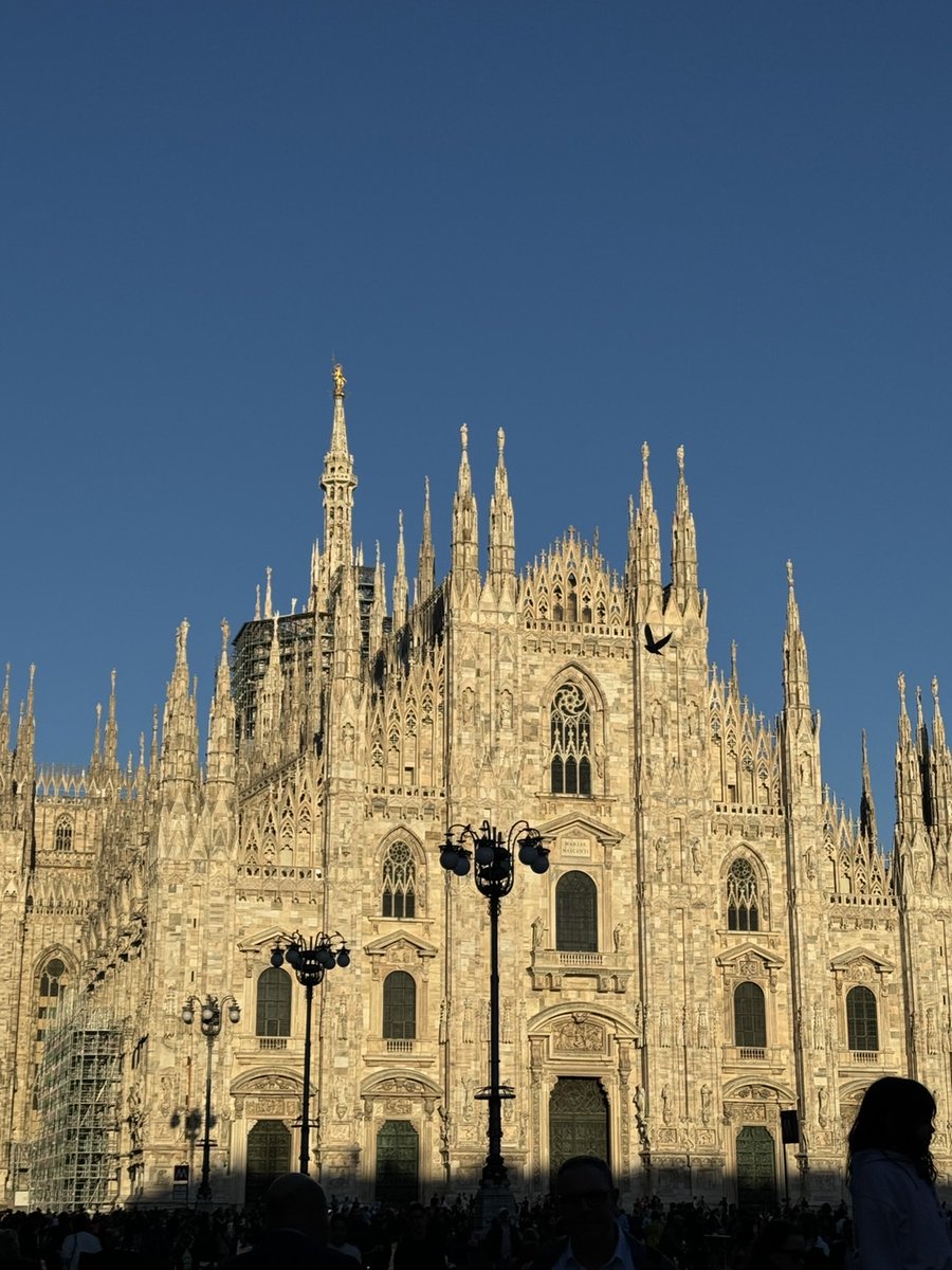 战斗结束，抱着我的一猫一狗睡觉
<a href="/ANARCHOCATBUS/">ANARCHO•CATBUS</a>  <a href="/THETICKERISELSA/">Elsa</a>