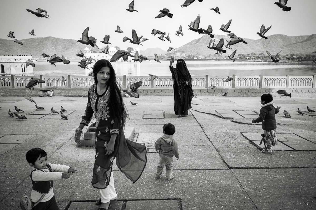 Flight &amp; Feathers 🕊️
#bnw #streetphotography