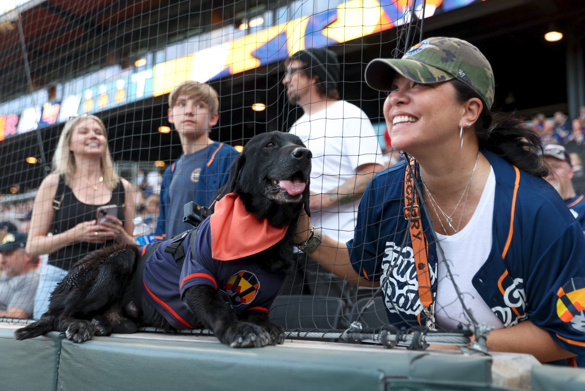 FINN FINALE: Finn the Bat Dog has retrieved his final bat for the Aviators. The black Labrador retired from his duties with the Triple-A team and was honored tonight at Las Vegas Ballpark. Check out photos from the scene. #RJNow reviewjournal.com/sports/aviator…
