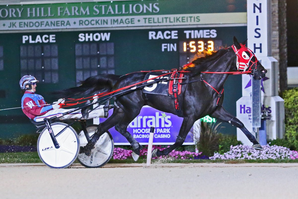 Millionaire, Hambletonian Maturity, and 2x ISS Champ, M-M's Dream will be making her 2024 debut tonight @HoP_Racing in Race 11. Retweet to wish her good luck! #PlayHP