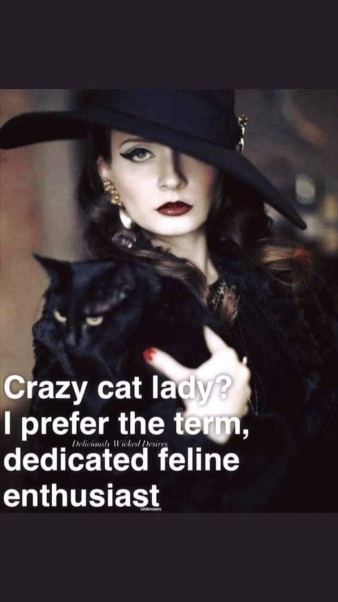 #NationalCatLadyDay : I’ve been a cat lady since I was a little girl! I need them in my life!! 💙🐈‍⬛💙