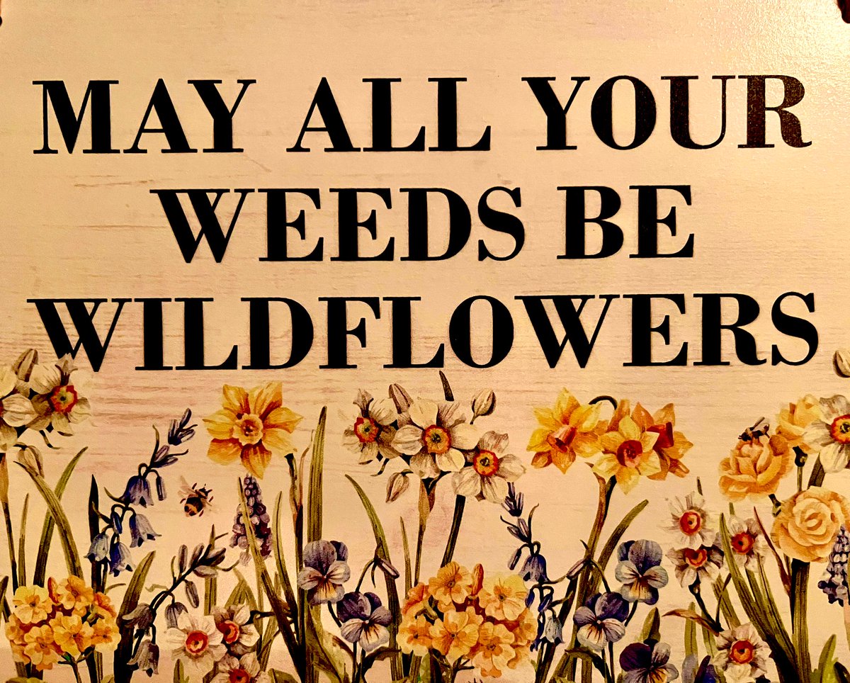 Saturday Friendly Reminder…May all your weeds be wildflowers. 🍃🌼🧡 #SaturdayMood #WeekendVibes #SaturdayMorning #springtime