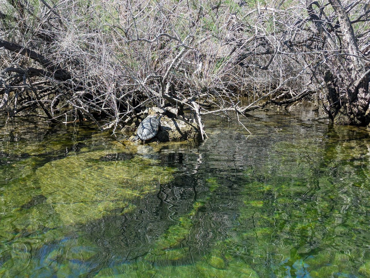 kayaklakemead tweet picture