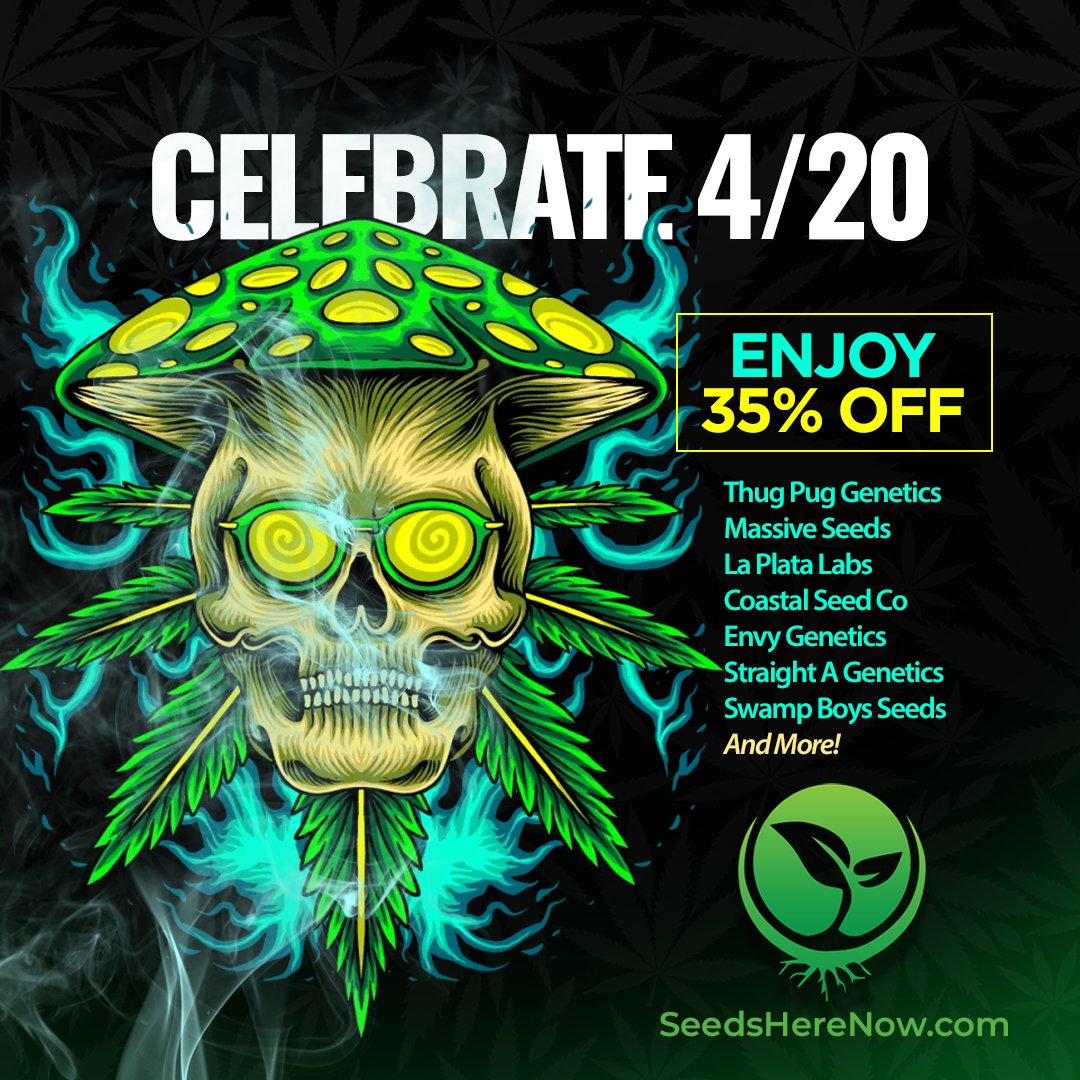 The Big 4/20 Celebration is here and the deals are overflowing! 🔥Enjoy 35% OFF all of the incredible breeders in this post!🔥 VISIT: seedsherenow.com 

#seedsherenow #growbudyourself #CannabisCommunity #cannabislife #420friendly #420Life #cannabisgrowers