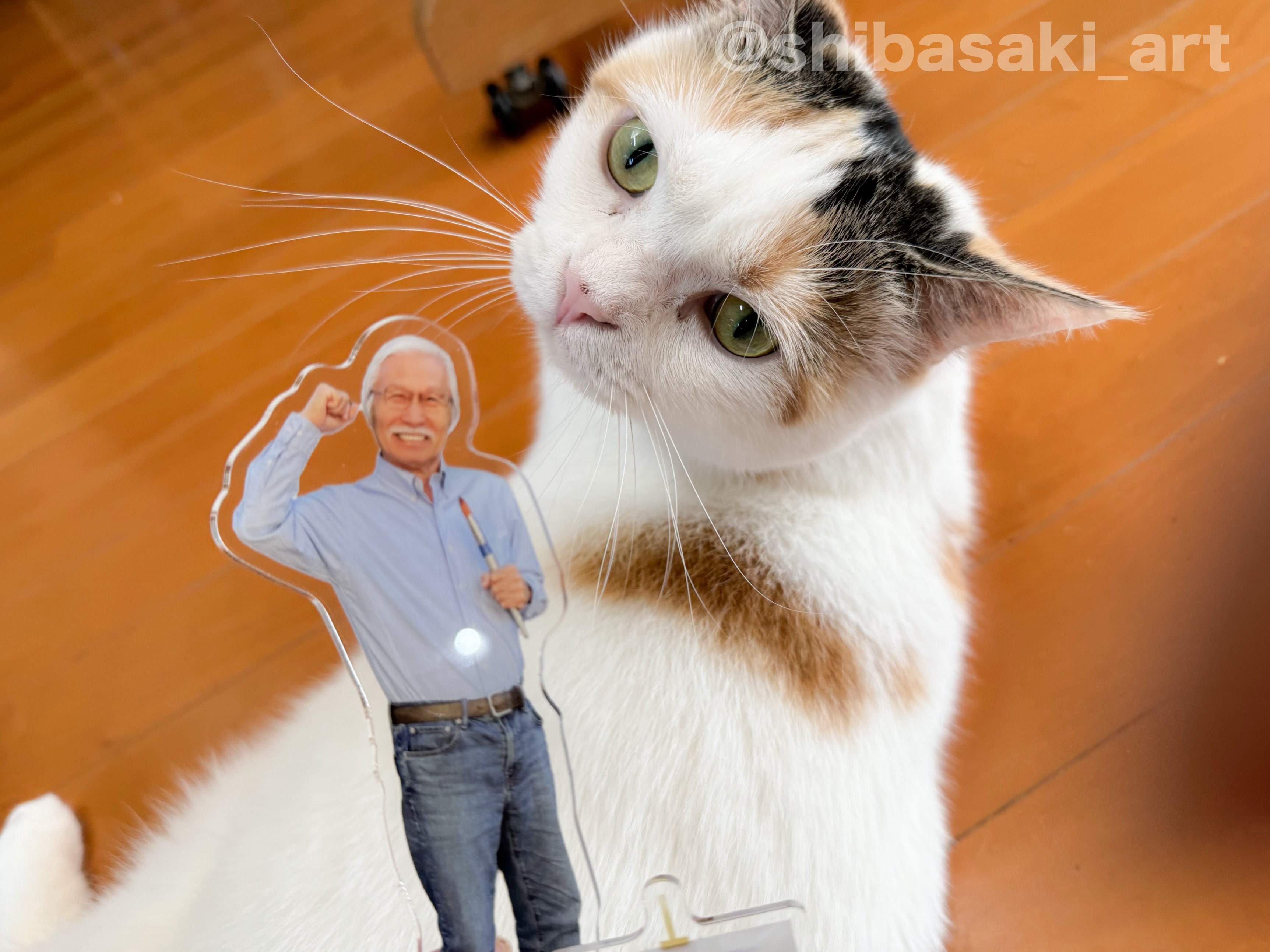 原画 猫 おめかし #183 原画『おめかしねこ』 | maki yagawa