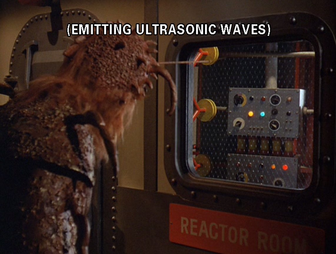 Disappointed Chip tweet media