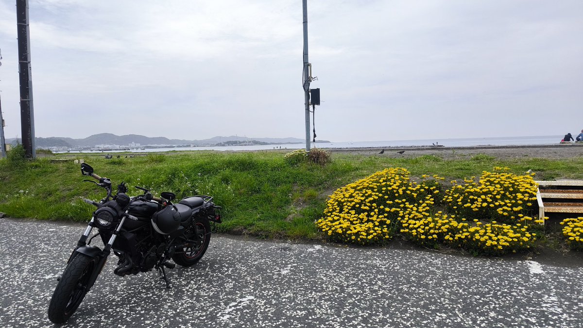 北条海岸でぼけ〜としてるなう
最近用事で都内行くか南房総グルグルしかしてないな〜笑