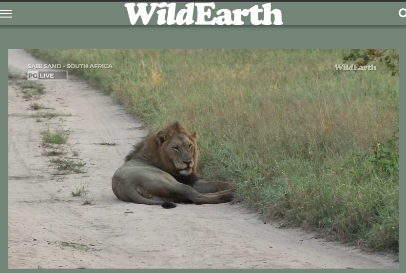 good morning! BDMs chilling😎😎 #wildearth