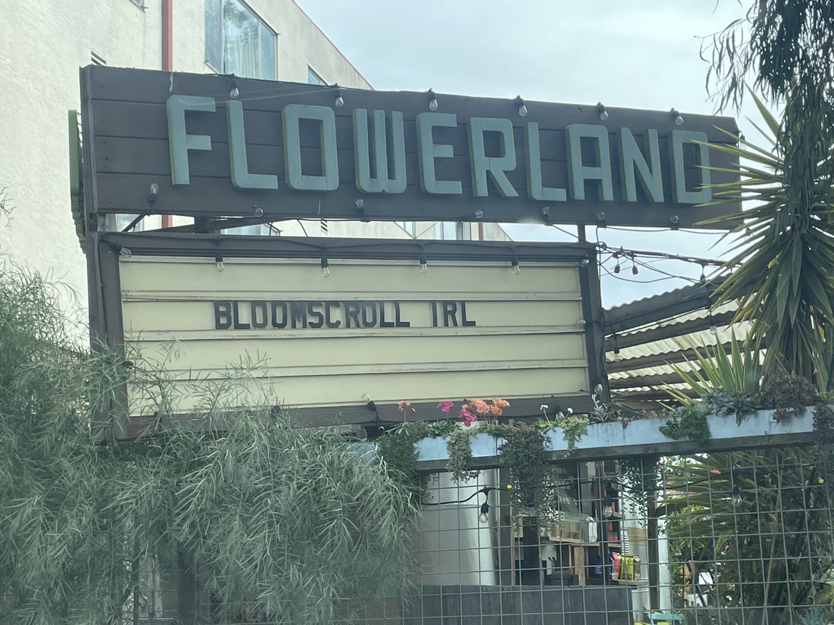 Flowerland, Albany.