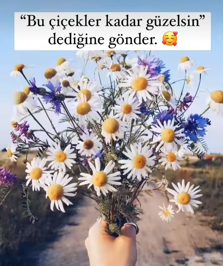 Herkesin kalbinde çiçekler açsın 🤗🤗 #gunaydin #günaydın #CUMARTESİ #20nisan #SaturdayVibes 🌹🌹