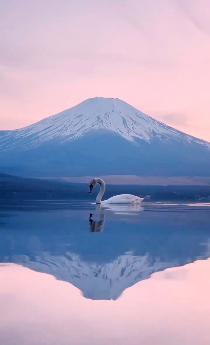 Good morning Xheart
Amazing capture

#Mountfuji 💙💙💙