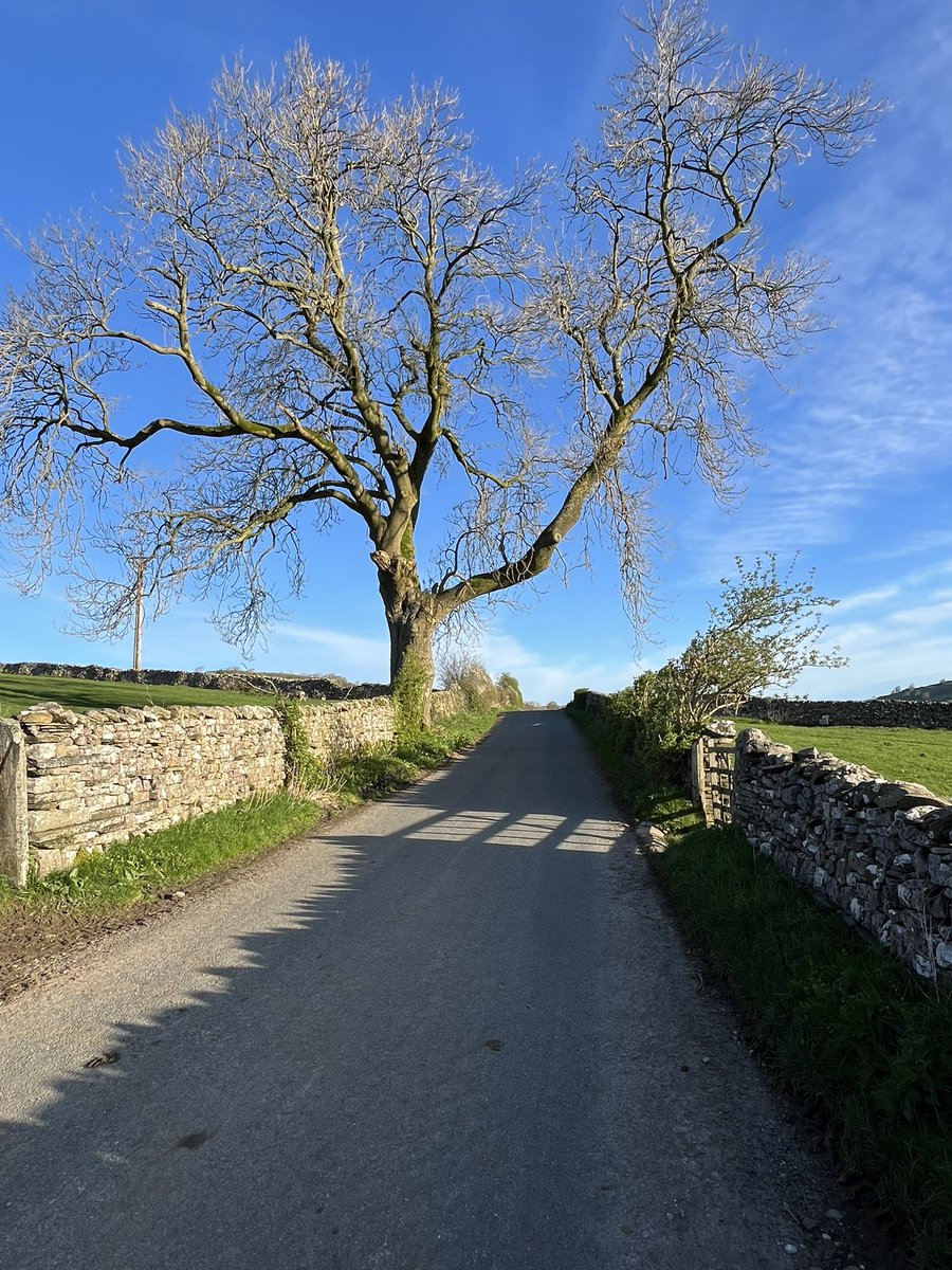 Here’s to a sunny weekend. Stainforth Lane.