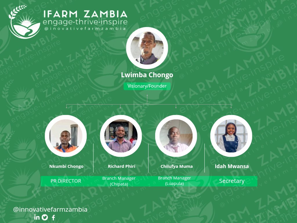 Meet our partners 💚