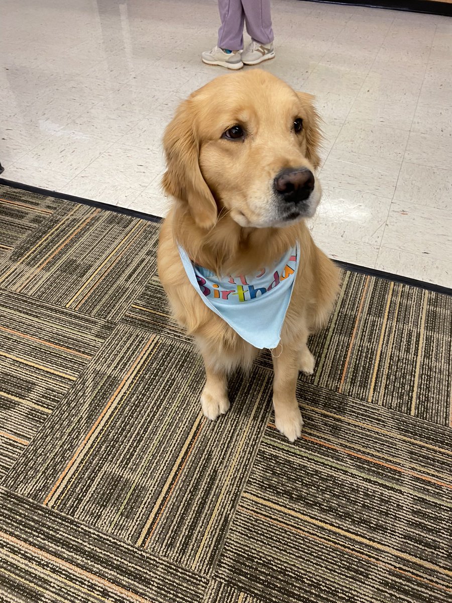 Facility_Fawn's tweet photo. Happy birthday Fawn!!!! https://t.co/663iwF8T2P