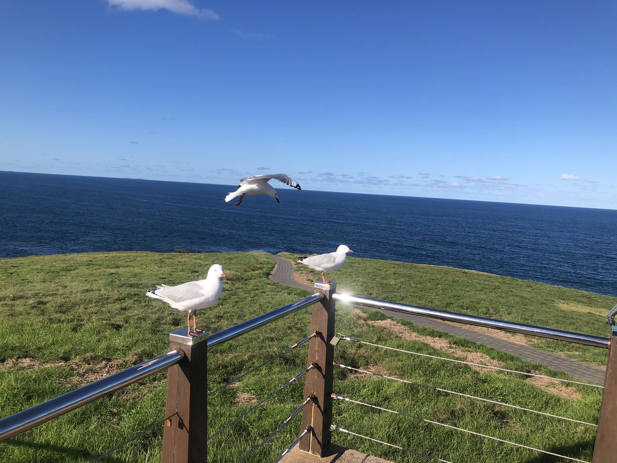 titu58's tweet photo. @RCederfjard Beautiful Australia 🇦🇺 https://t.co/Hk1N9U11xG