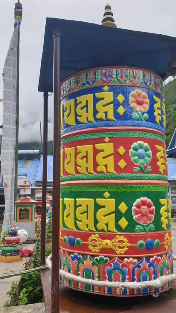 HST Adventures tweet media