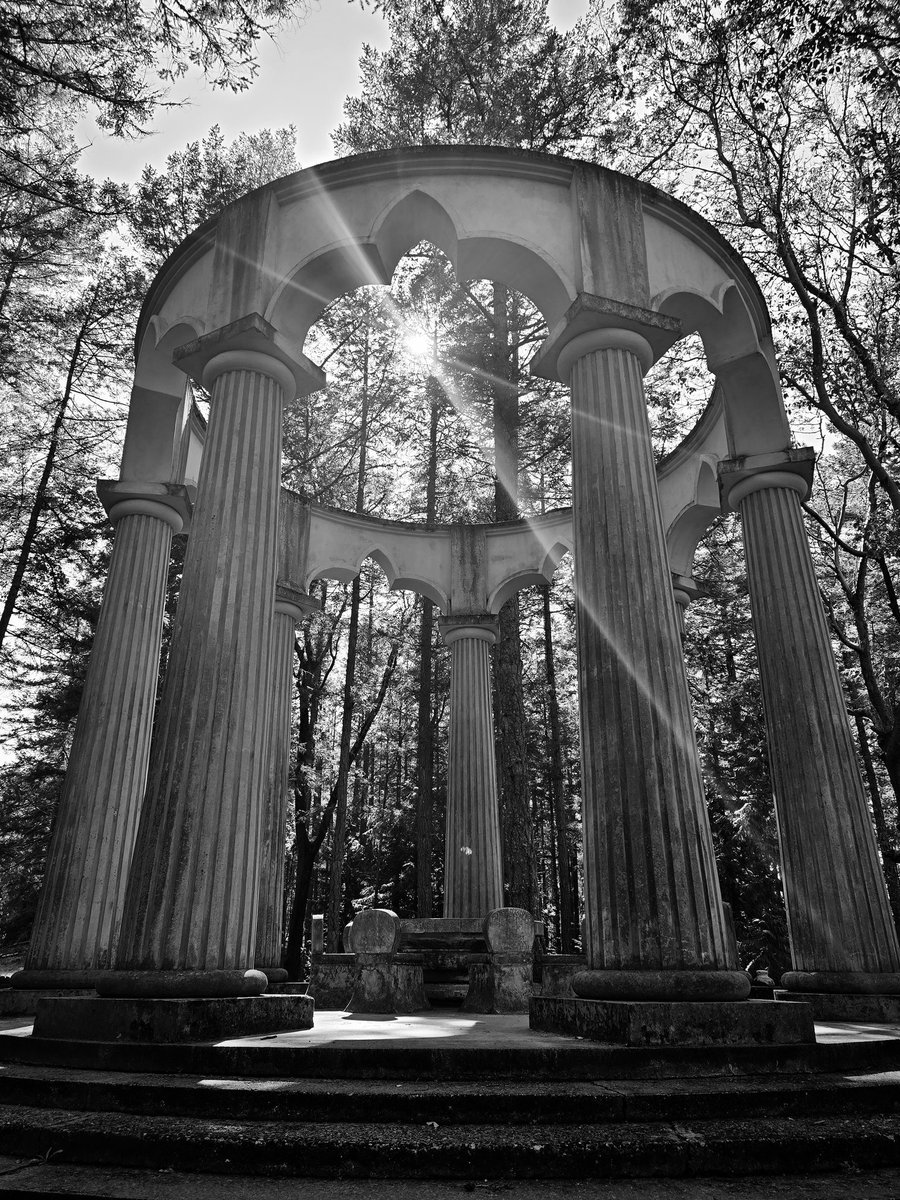 Brad M Johnson tweet media