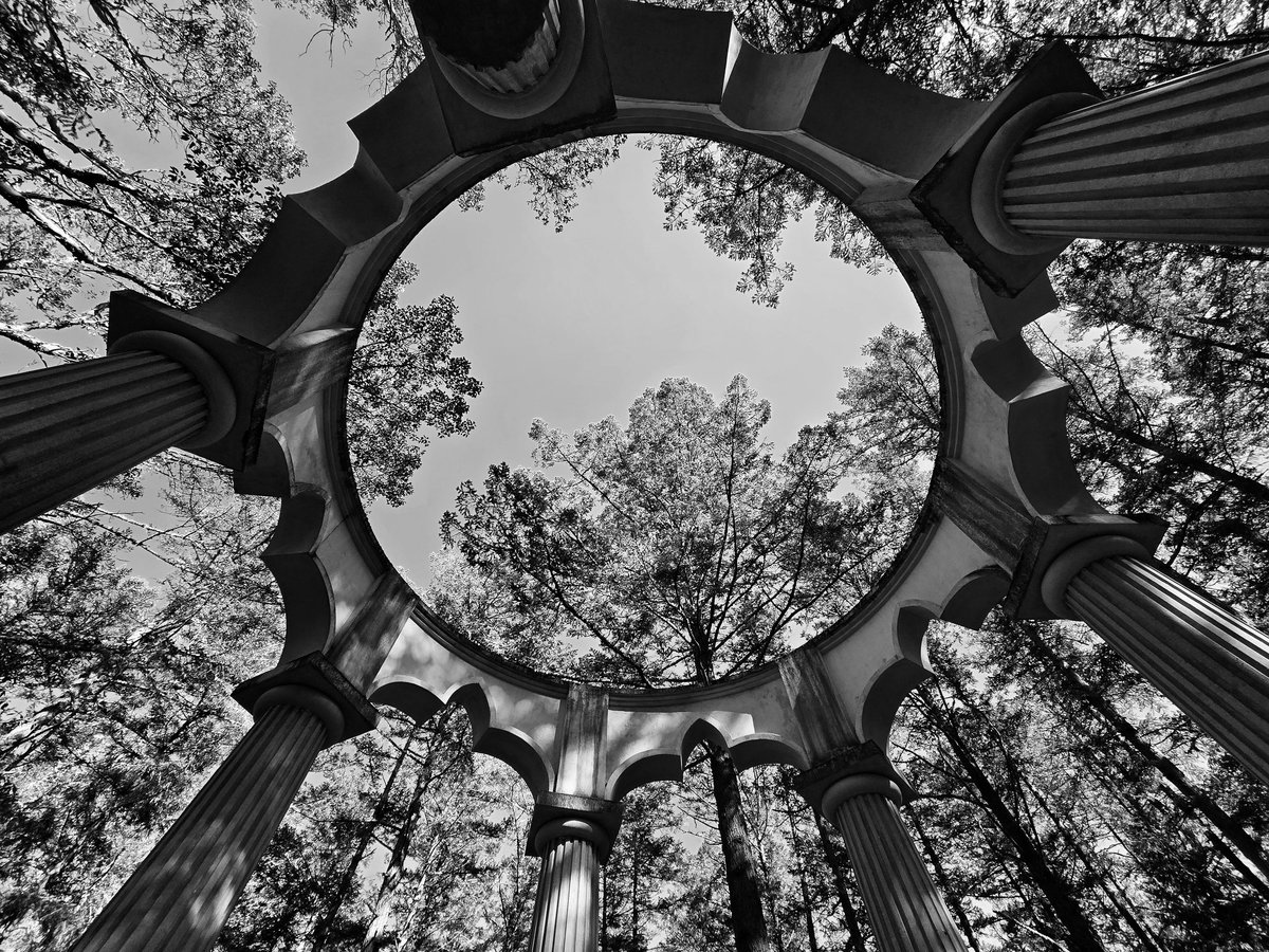 Brad M Johnson tweet media