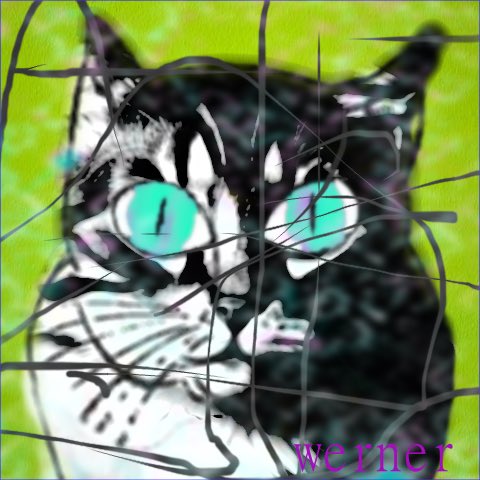 𓂃🜴 tweet media