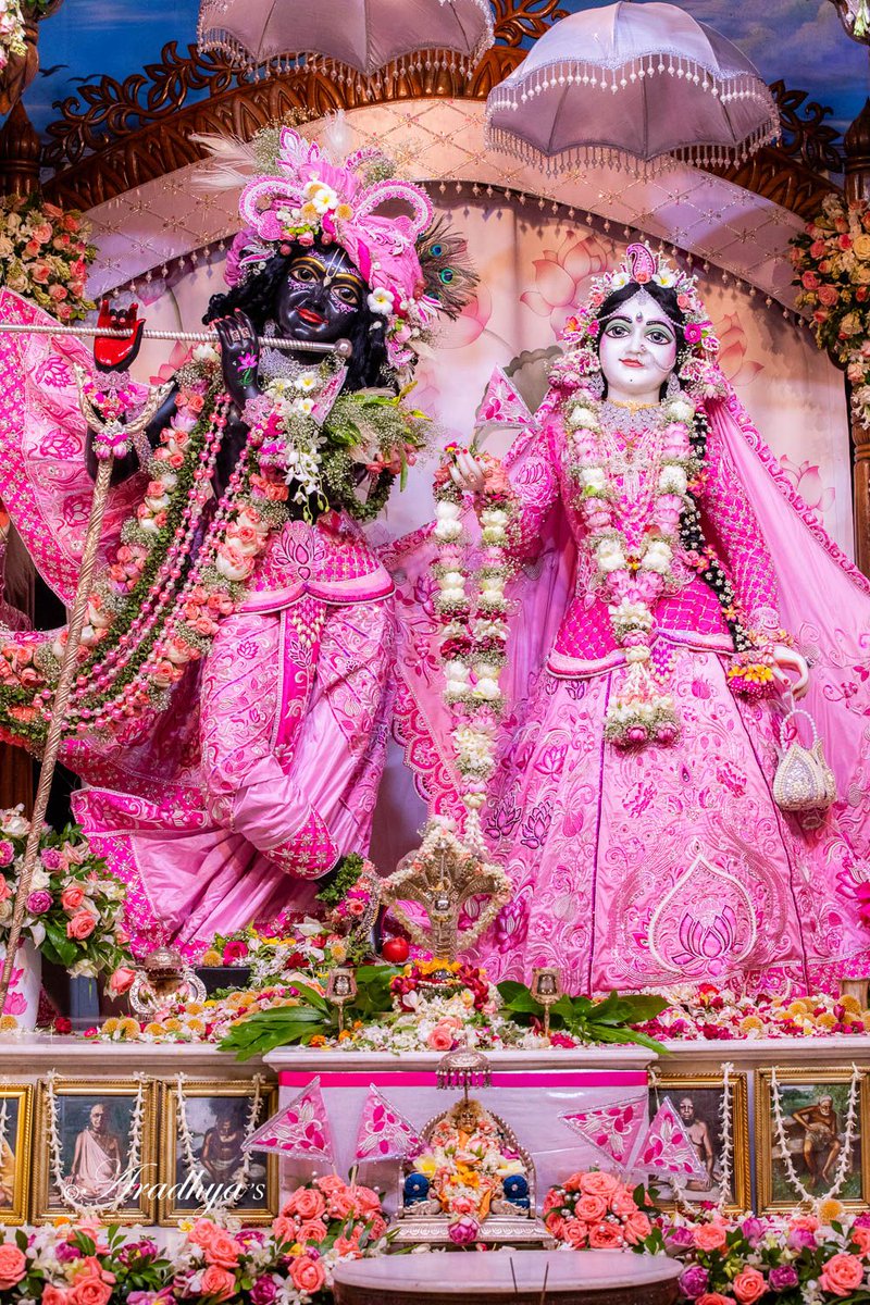 Can you reply with me
   💗Radhey Radhey 💗