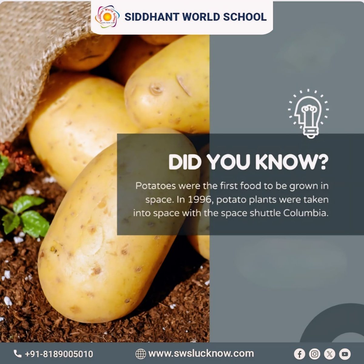 In 1996, potatoes became the first food grown in space, embarked on a groundbreaking journey aboard the space shuttle Columbia, paving the way for agricultural innovation beyond Earth.

Visit us: swslucknow.com 

#didyouknow #facts #bestschoolnearme #CBSE #CBSESchool