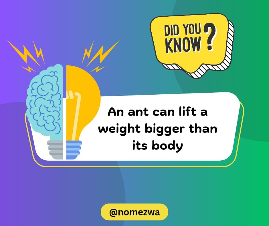 DID YOU KNOW❓

#didyouknow #information