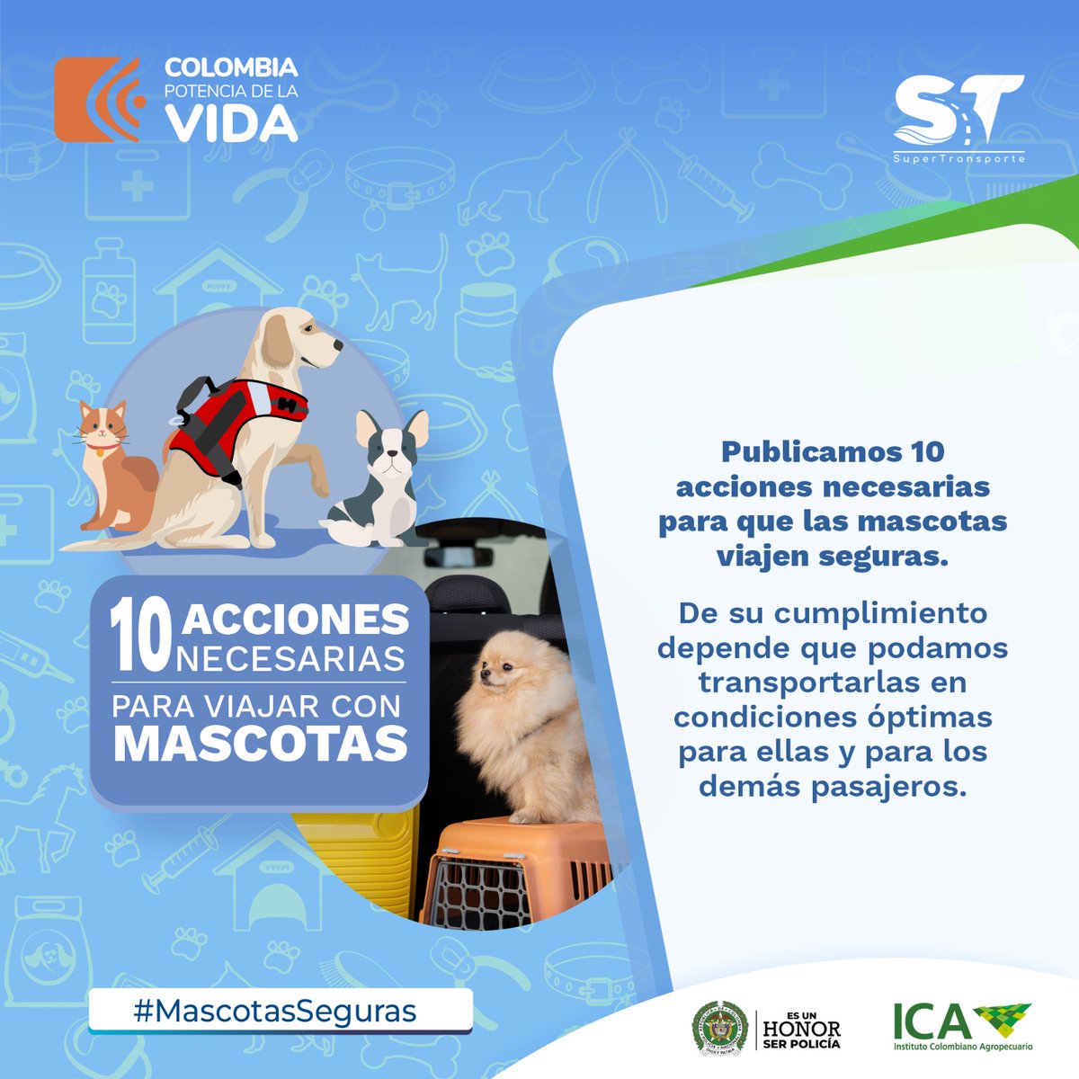 Por un transporte de #MascotasSeguro, publicamos 10 acciones necesarias para tener en cuenta en el momento de viajar con estas o con animales de asistencia. Cumplir con las condiciones, permitirá transportarlos de manera óptima y sin contratiempos. ➡️acortar.link/Z9EMNZ