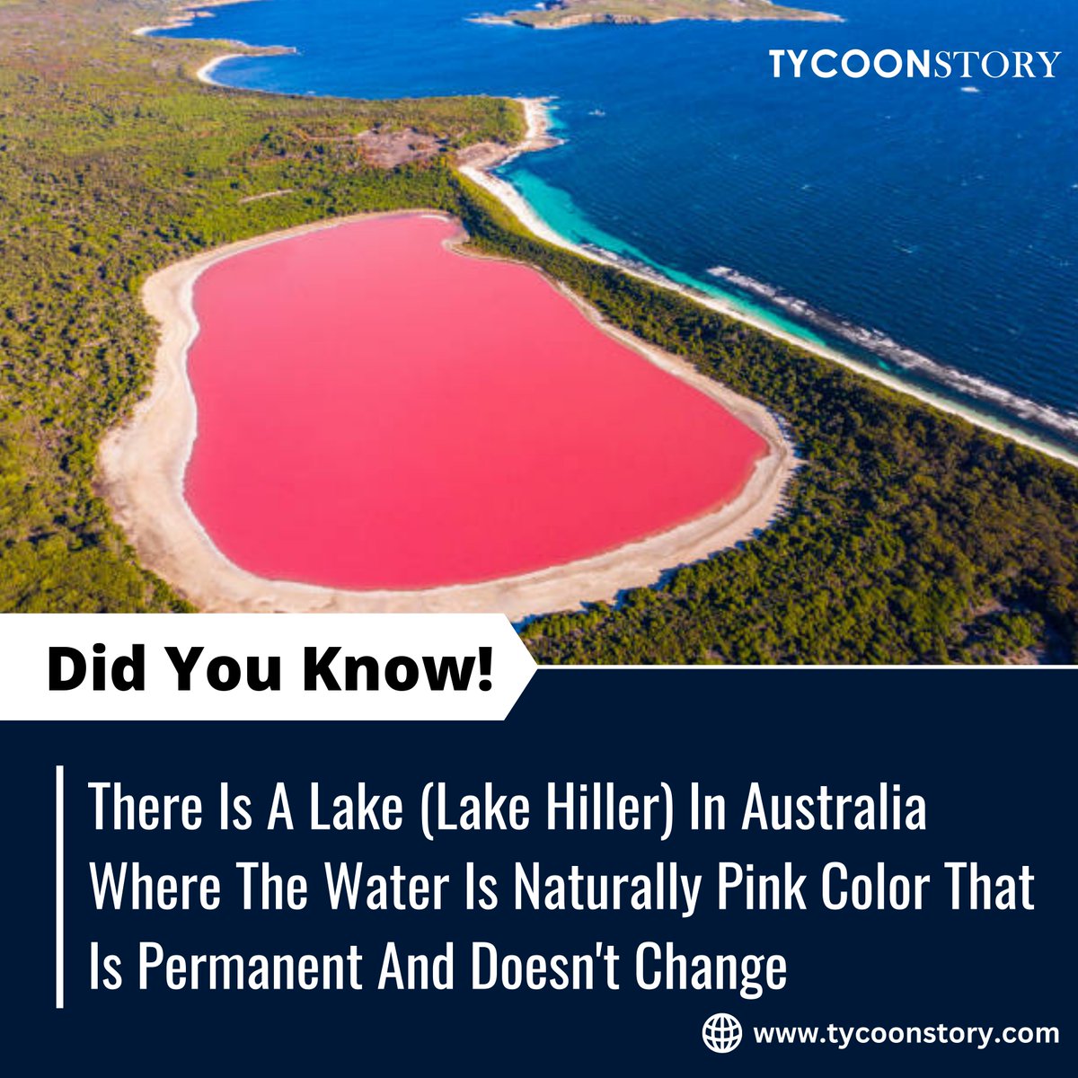 Explore the Beauty of Pink Lake Hillier: Australia

#LakeHillier #PinkLake #WesternAustralia #NaturalWonder #TravelAustralia #ExploreWA #PinkWater #TravelBucketList #ScenicFlights #NatureLovers @TycoonStoryCo @tycoonstory2020 @timesofindia @Australia