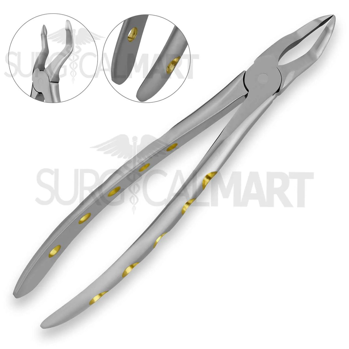 ⚡English Pattern #DentalExtractingForceps No. 51Z Upper Roots with Gold Hollow Python Grip Handle🦷
Order now 👉surgicalmart.com/shop/dental-in…
.
.
.
#surgicalmart #extractionforcep51Z #englishextractingforceps #toothextraction #dentaltools #dentalsurgery #dentalforceps #shoponline