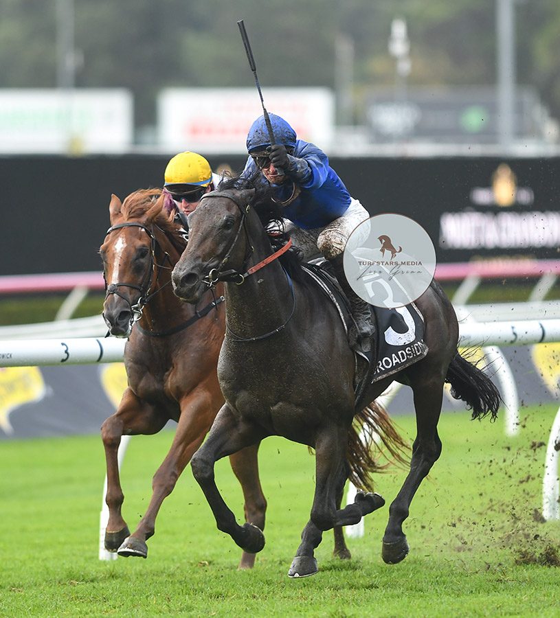 🥇 BROADSIDING (Too Darn Hot x Speedway) Winner Group 1 MOËT & CHANDON CHAMPAGNE STAKES (1600 METRES) T: James Cummings J: James McDonald