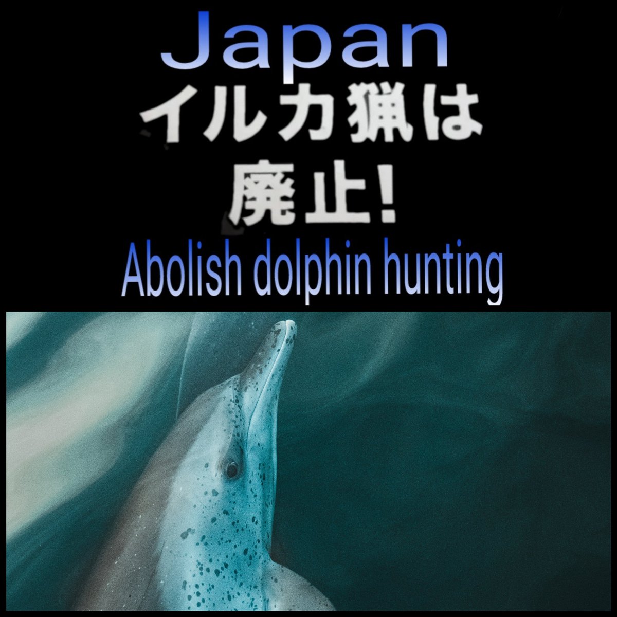 @KunitoSeko #BlueCove
Thank you Kunito san the for this report. migration rout has become a problem I think  hunting for decades have a long lasting effect on this species the short fin and others. And climate change overfishing, fishing in other areas will hurt this species.
#SaveThePilot