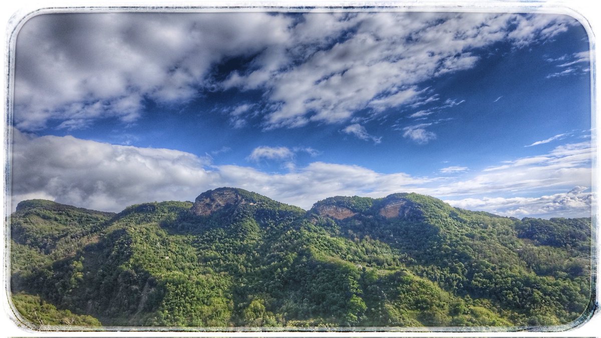 brunopinoit's tweet image. #AielloCalabro #HiHello #Ajelluja #Calabria ##SalaDAspettoDelParadiso
#19aprile2024

Canale Telegram | t.me/brunopinoit
Canale WhatsApp | whatsapp.com/channel/0029Va…