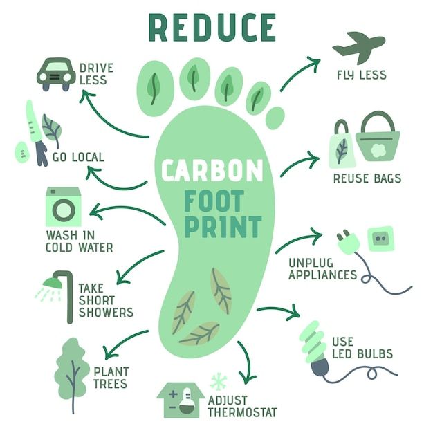 Reduce Carbon foot print..
#EnvironmentalConservation #ConservationIsKey #ClimateAction 
 #Conservation #Sustainability #ProtectOurPlanet