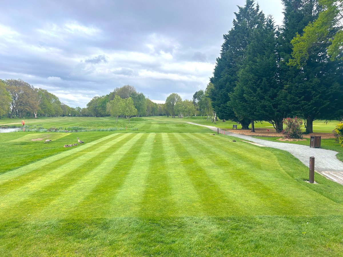 Wayne Aris tweet media