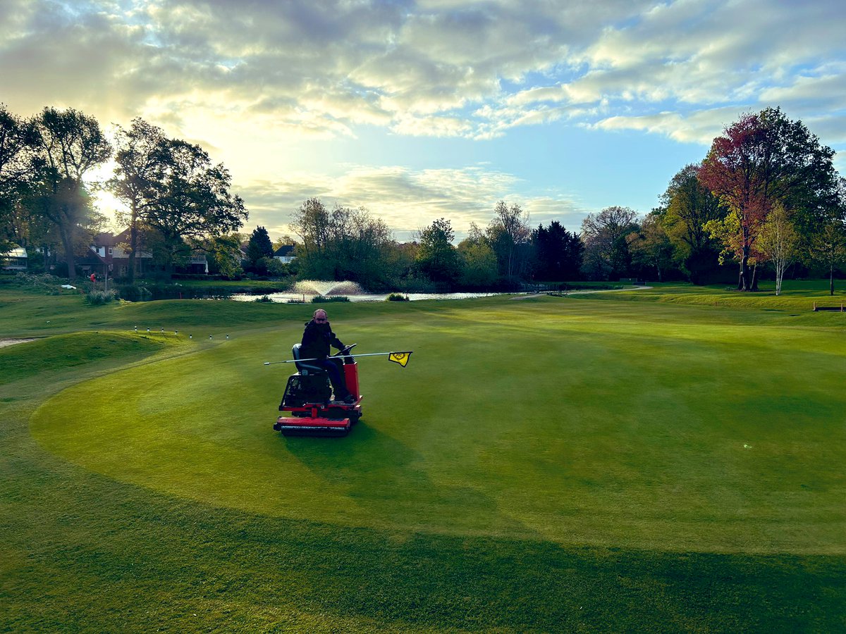 Wayne Aris tweet media