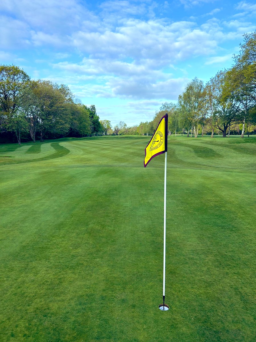 Wayne Aris tweet media