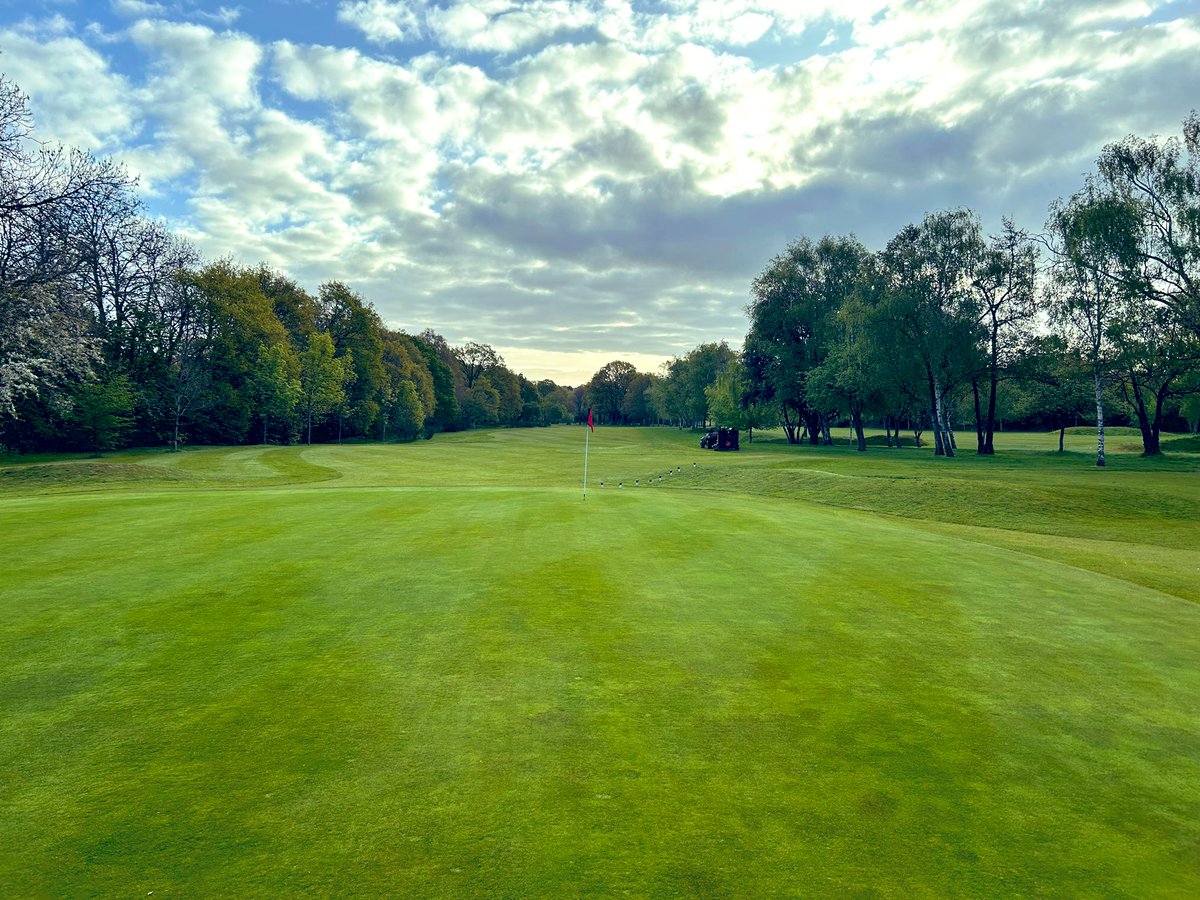 Wayne Aris (@wayne_aris90) on Twitter photo A crisp, but full set up today for the Goodhart cup <a href="/LangleyParkGC/">Langley Park GC</a> seed heads popping on the poa, but should be irradiated fairly quickly with growth regulators and a couple of light verticuts. A crisp, but full set up today for the Goodhart cup <a href="/LangleyParkGC/">Langley Park GC</a> seed heads popping on the poa, but should be irradiated fairly quickly with growth regulators and a couple of light verticuts.