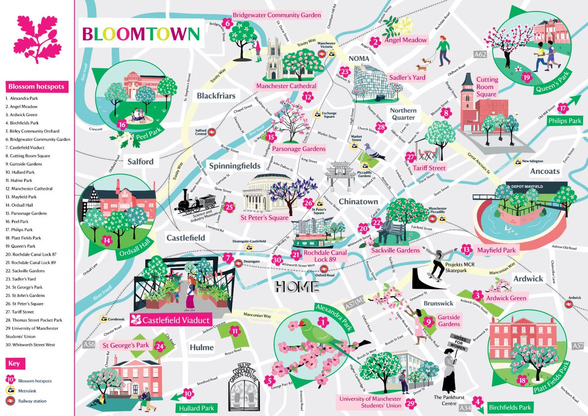 ‘Bloomtown’: wonderful map that @bekcruddace has designed for @nationaltrust @NTCastleDuct to celebrate spring in #Manchester nationaltrust.org.uk/visit/cheshire…