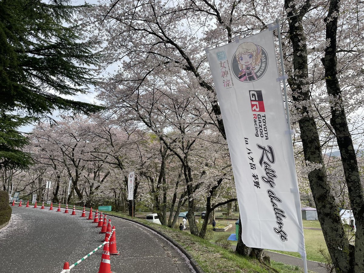 kurumamaru's tweet photo. 21日（日）のTOYOTA GAZOO Racingラリーチャレンジ八ヶ岳茅野
楽しみ
ギャラリーとして下見してきました
桜の花びらもなんとか耐えてくれた
当日は桜舞う開催になりそう
#ラリーチャレンジ
#八ヶ岳茅野
#TGR https://t.co/xS1H65iZDR