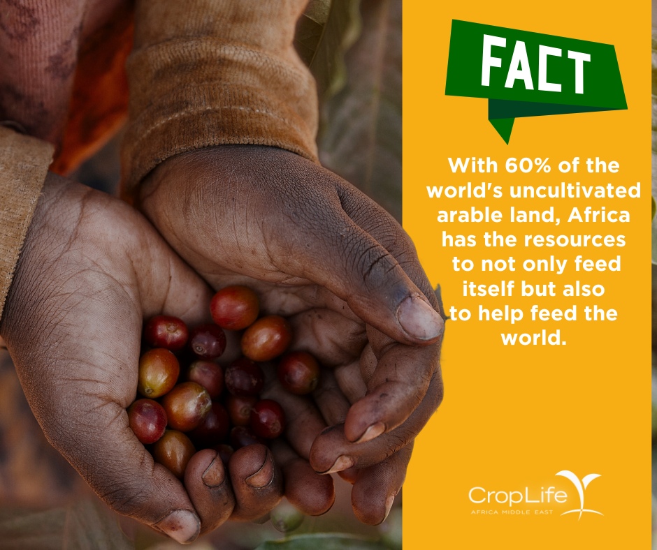 Africa has 60% of the world's uncultivated arable land. CLAME is committed to helping Africa unlock its potential as a global ag powerhouse through sustainable farming practices, improved infrastructure,& innovative solutions. Together, we can help Africa feed itself!