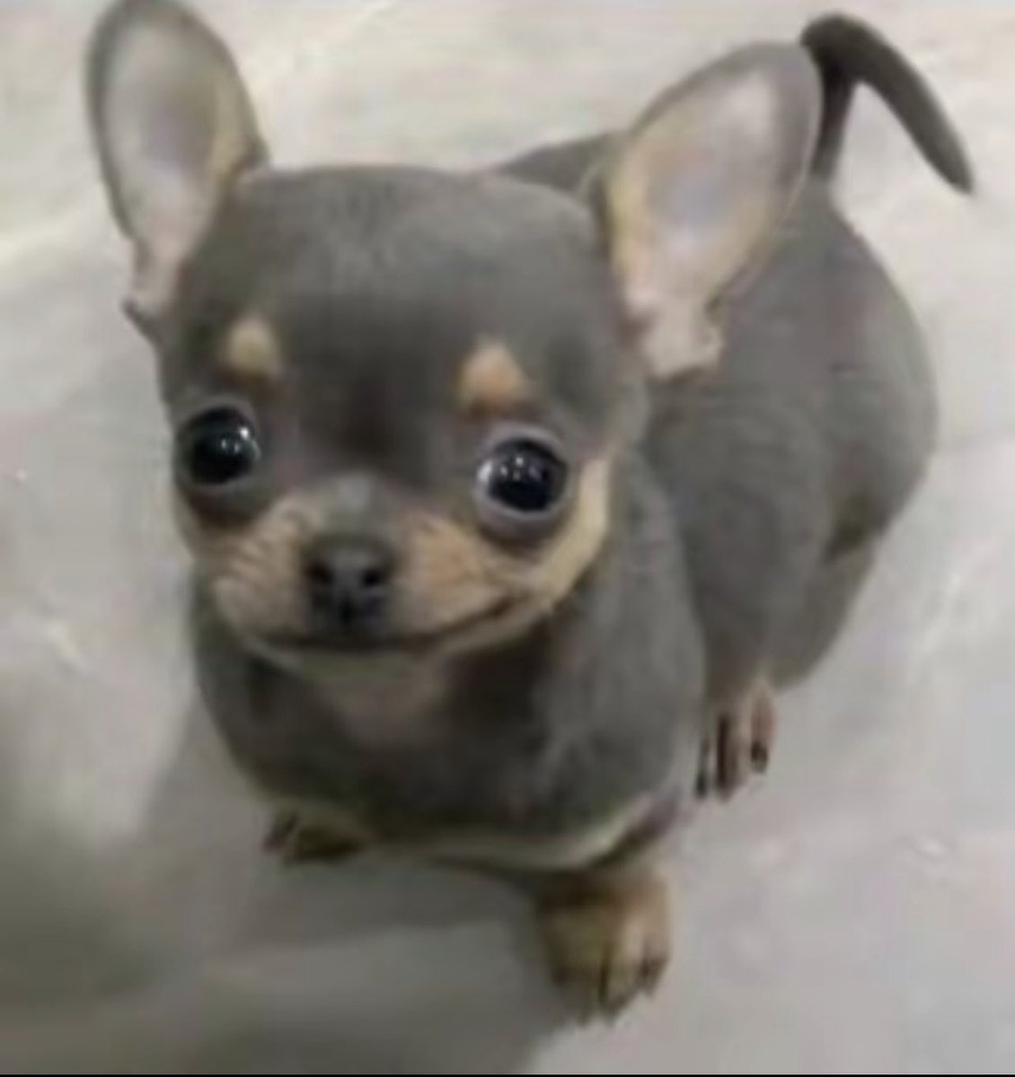 elrubiconn's tweet photo. Es que son los mismos 🥺 https://t.co/HX76HeJMz0