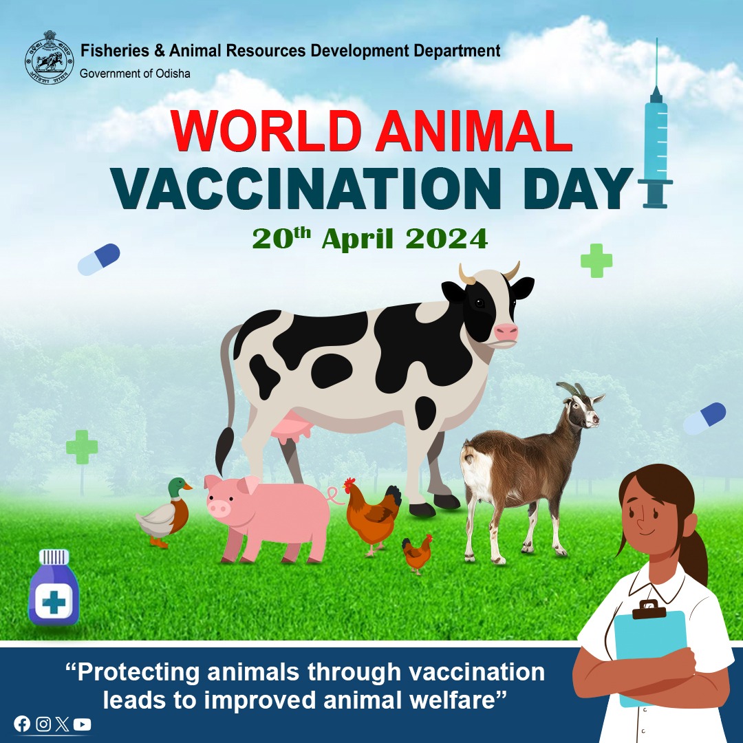 Today, as we commemorate World Animal #VaccinationDay, let's acknowledge the pivotal role of vaccination not only in animal health but also in safeguarding human health. Together, let's strive for healthier animals and a healthier world! 🐾💉
#AnimalHealth