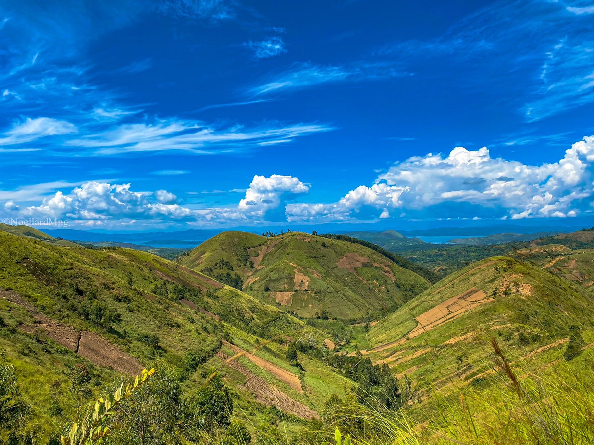 Mngnoellard11's tweet photo. 📍Bushumba - Kabare
#bukavu #Bukavuexplorer #congoexplorer #Congo #congokinshasa #congopositif #photooftheday #photographer #visitcongo #travelphotography #Perfection #photo #beautiful https://t.co/CSxD6qEcmX