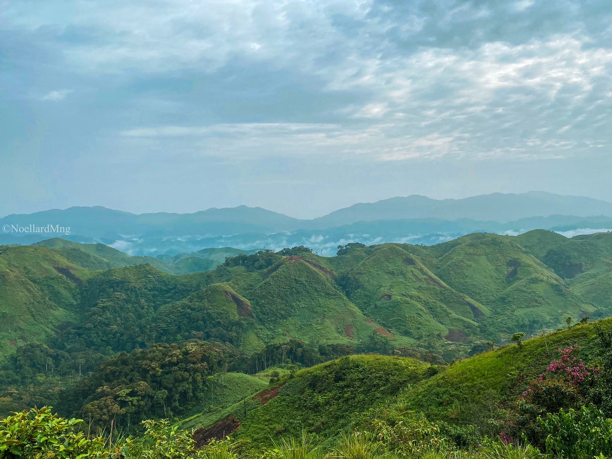Mngnoellard11's tweet photo. 📍Ninja - Sud Kivu
#bukavu #Bukavuexplorer #congoexplorer #Congo #congokinshasa #congopositif #photooftheday #photographer #visitcongo #travelphotography #Perfection #photo #beautiful https://t.co/KL8TSeV6R8