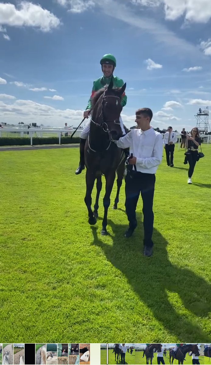 Pepsi Cat ran a cracking race yesterday to finish 5th in the Listed Lansdown Stakes <a href="/BathRacecourse/">Bath Racecourse</a> <a href="/DougieCostello/">Dougie Costello</a> <a href="/WhitsburyManor/">Whitsbury Manor Stud</a> 
Her toughest race to date, beaten  3 1/2 Lengths and only a nose and a head for 3rd. Great performance and more to come