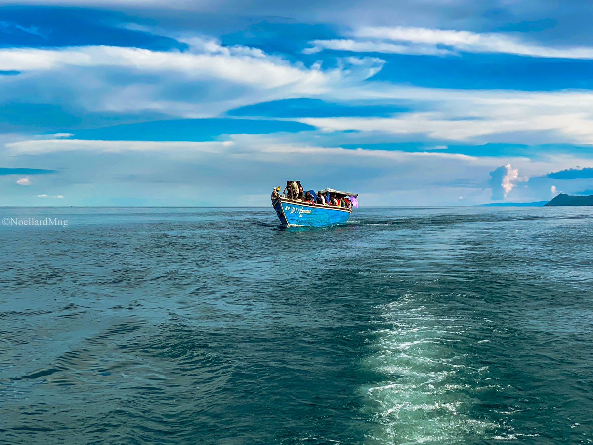 Mngnoellard11's tweet photo. 📍Ubwari - Karamba/ Fizi, Sud Kivu.
Lac Tanganyika
#bukavu #Bukavuexplorer #congoexplorer #Congo #congokinshasa #congopositif #photooftheday #photographer #visitcongo #travelphotography #Perfection #photo #beautiful https://t.co/XLX3d8nQR7