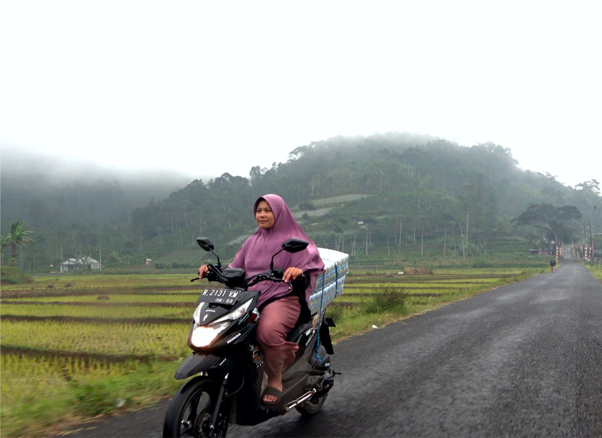 #icymi: Indonesia's #smallscale tea farmers face ongoing challenges due to #climatechange and competition. ❌