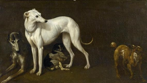 JOHAN LE DUCQ
Greyhounds
more here: twogreyhounds.com/2024/03/11/joh…
the #sighthound #bulletin
#greyhound #sighthoundmuseum #greyhounds #greyhoundlovers #art #artist